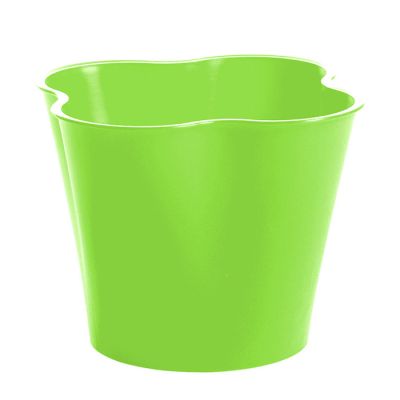 Scolaposate Verde Lime