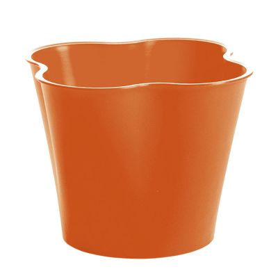 Scolaposate Arancio