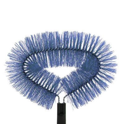 Ragnatore Ovale blu