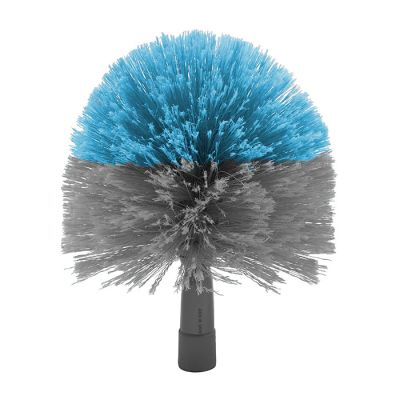 Ragnatore A Palla blu